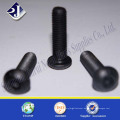 China Supplier Grade 4.8 / 8.8 / 10.9 / 12.9 Black Button Kopfschrauben